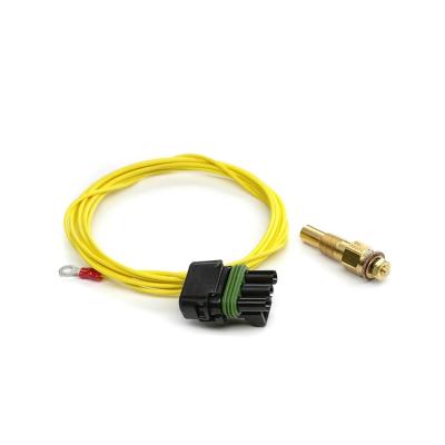EAS Temperature Sensor -40-300 Degrees Fahrenheit Compatible w/ Edge CS2/CTS2/CTS3 1/8 in. NPT Edge Products