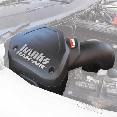 Ram-Air Cold-Air Intake System Dry Filter 94-02 Dodge 5.9L Banks Power