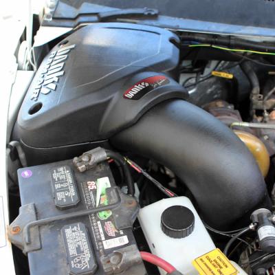 Ram-Air Cold-Air Intake System Dry Filter 94-02 Dodge 5.9L Banks Power